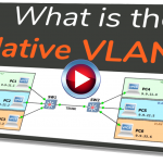 nativevlan-thumbnail-blogtilt