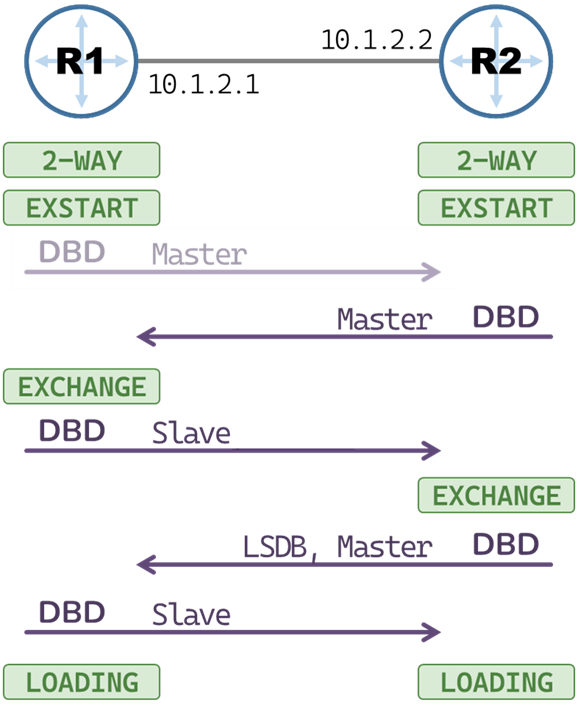 OSPF Neighbor adjacency states: 2-WAY, ExStart, ExChange, Loading. DBD and Master/Slave election and LSDB Summary Exchange